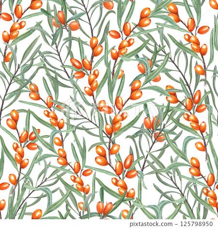 Watercolor Nordic sea buckthorn berries seamless pattern isolated background. Intertwining branches with berry and green leaves ornate for autumn recipe books, rustic kitchen designs, wall decor 125798950