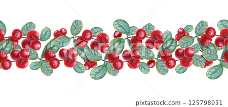 Watercolor cowberries with leaves and berry seamless banner isolated background. Forest Nordic red berries on branches for recipe books, health blogs, holiday gifts, Christmas, Thanksgiving textile 125798951