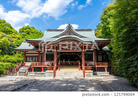 吉祥寺武藏野八幡神社 125799084