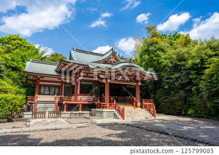 吉祥寺武藏野八幡神社 125799085