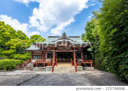 吉祥寺武藏野八幡神社 吉祥寺武藏野八幡神社 125799086