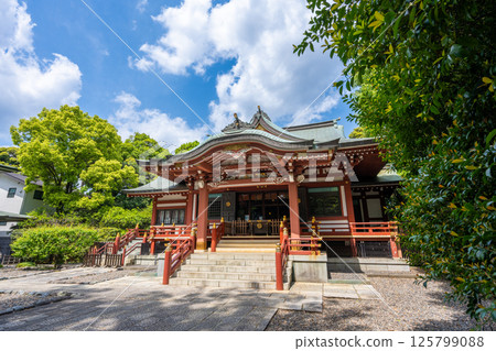吉祥寺武藏野八幡神社 125799088