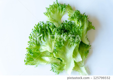 新鮮的生菜 125799332