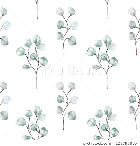 Simple eucalyptus leaf vertical seamless pattern isolated. Nordic style repeated watercolor greenery for modern fabric, packaging, and stationery. Botanical background with fresh pale green plants. 125799810