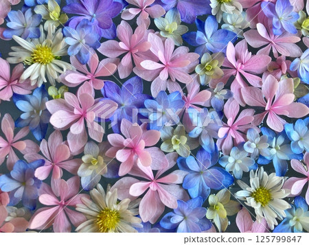 Assortment of colorful hydrangeas 125799847