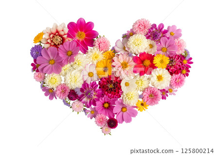 Mockup heart of aster, dahlia, and cosmea flowers isolated on white background. A design element for postcards Happy Mother's Day, happy Easter, March 8th, happy birthday Mockup heart of aster, dahlia, and cosmea flowers isolated on white background. A design element for postcards Happy Mother's Day, happy Easter, March 8th, happy birthday 125800214