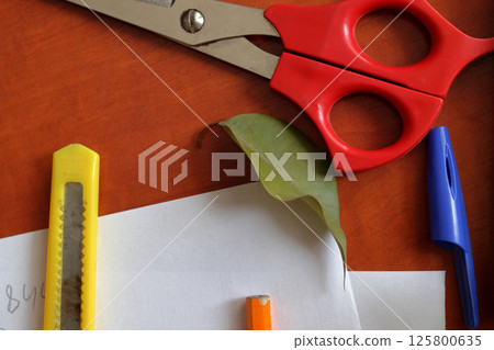 Still life from various stationery. Still life from various stationery. 125800635