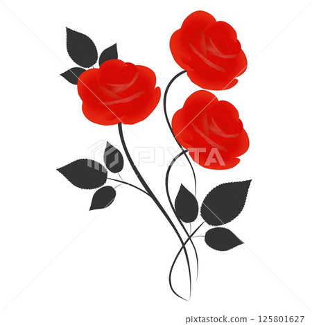 Bouquet of red roses with black leaves on a white background. 125801627
