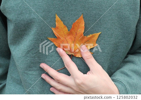 Hand holding maple leaf against man's chest. 125802032