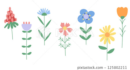 Set with minimalistic wild flowers. Simple flowers set. 125802211