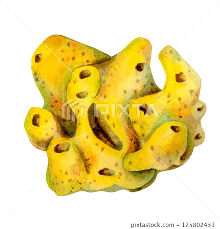 Underwater sea lemon sponges porifera living on coral reefs. Watercolor illustration of filter sponge in bright yellow color isolated on white background for sea design, snorkeling, diving, book, art 125802431