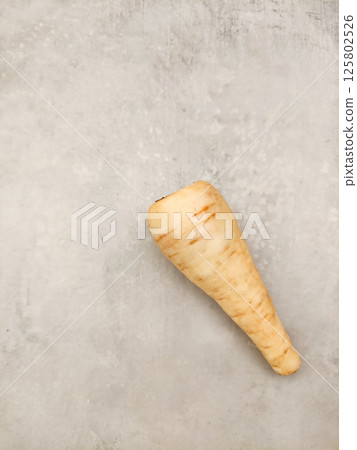 Parsnip lying on gray kitchen countertop ready for cooking copy space preparing vegetables for making soup Parsnip lying on gray kitchen countertop ready for cooking copy space preparing vegetables for making soup 125802526