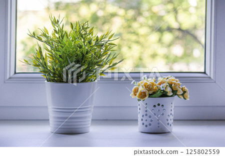 Bright pink decorative roses in a white flower pot and a pot with green leaves on the window 125802559
