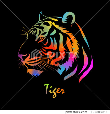 Tiger colored head on black background. hand drawing. Not AI, Vector illustration 125803035