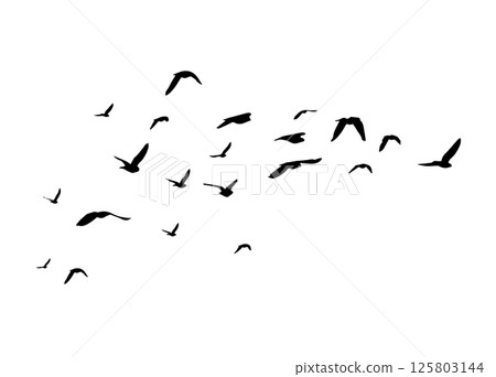Flying birds silhouette flock. hand drawing. Not AI. Vector illustration Flying birds silhouette flock. hand drawing. Not AI. Vector illustration 125803144
