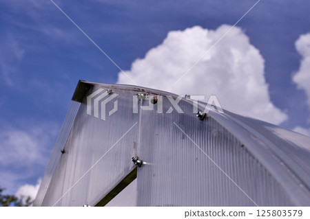 tomato greenhouses against the blue sky 125803579