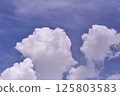 The sky is blue and clear with no clouds. 125803583