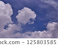 The sky is blue and clear with no clouds. 125803585
