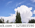 The sky is blue and clear with no clouds and trees 125803590