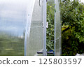 polycarbonate greenhouse in the garden. . 125803597