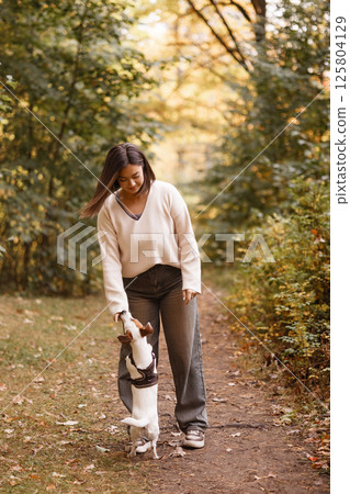 Woman training small dog during autumn walk in forest 125804129