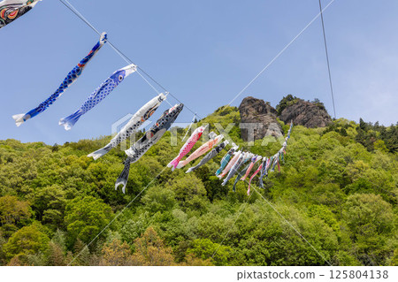 Road Station Reiyama Takeyama Carp Streamer 125804138