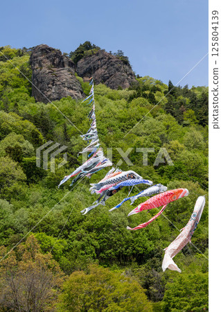 Road Station Reiyama Takeyama Carp Streamer 125804139