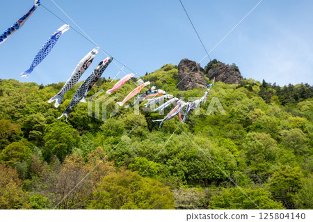 Road Station Reiyama Takeyama Carp Streamer 125804140