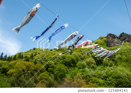 Road Station玲山竹山鯉魚旗 125804141