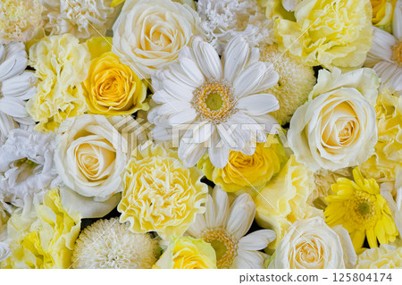 Hanatemizu 125804174