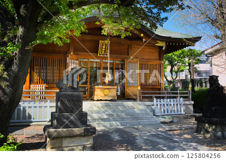 Tabata Hachiman Shrine, worship hall, Tabata, Kita-ku, Tokyo 125804256