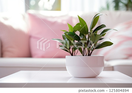 Green plant with long, slender leaves placed in white pot on white coffee table in front of pink 125804894