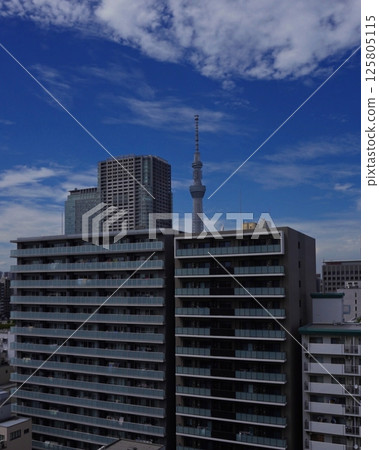 天空樹藍天 天空樹藍天 125805115