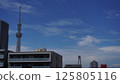 Sky tree blue sky 125805116