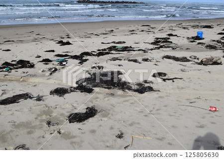 海邊的海藻和垃圾漂浮在海岸 125805630