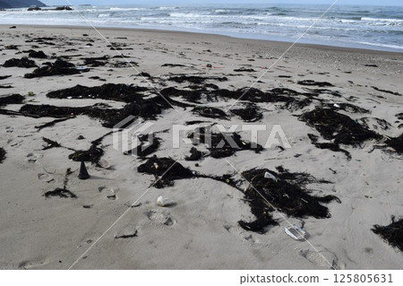 Seaweed and garbage on the seashore Floats on the coast 125805631