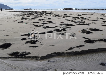 海邊的海藻和垃圾漂浮在海岸 125805632