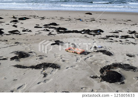 Seaweed and garbage on the seashore Floats on the coast Seaweed and garbage on the seashore Floats on the coast 125805633