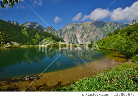 夏季的白馬－八方池 125805673