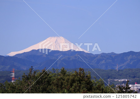 Mt. Fuji in early summer 125805742
