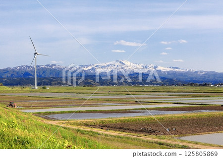 Rice field scenery at the beginning of summer in Yomedo Shonai 125805869