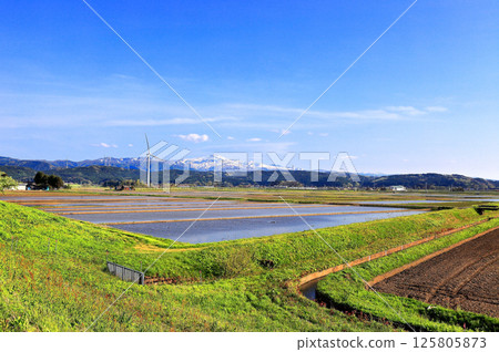 Rice field scenery at the beginning of summer in Yomedo Shonai 125805873