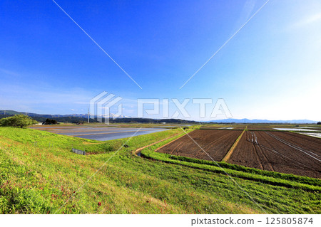 初夏的米田風景 初夏的米田風景 125805874