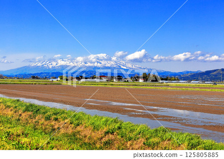 Rice field scenery at the beginning of summer in Yomedo Shonai Rice field scenery at the beginning of summer in Yomedo Shonai 125805885
