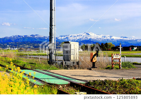 初夏的米田風景 初夏的米田風景 125805893