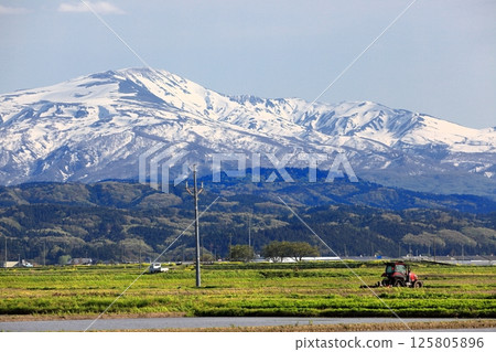 初夏的米田風景 125805896