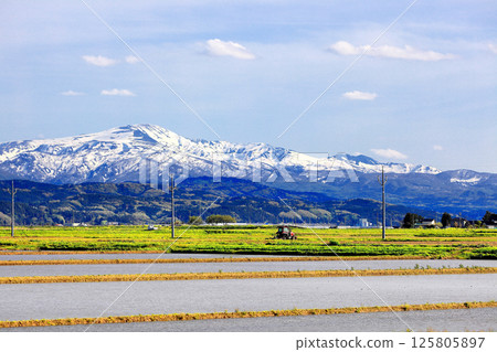 初夏的米田風景 125805897