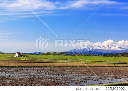 初夏的米田風景 125805902