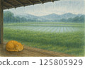 Rainy rice fields seen from the veranda 125805929