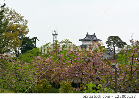Shibata Castle, one of Japan's 100 most famous castles Shibata Castle, one of Japan's 100 most famous castles 125806158